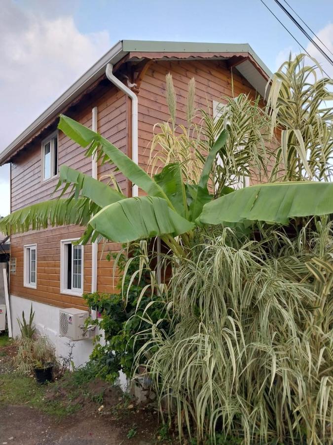 Le Cosy Bungalow De Lili / 5Min De L'Aeroport Les Abymes Buitenkant foto